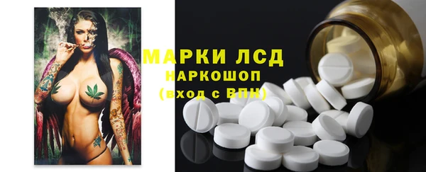 дживик Аркадак