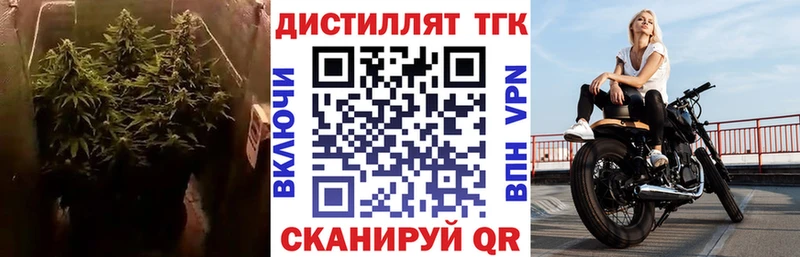 ТГК концентрат  где купить   Урюпинск 